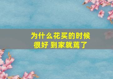 为什么花买的时候很好 到家就蔫了